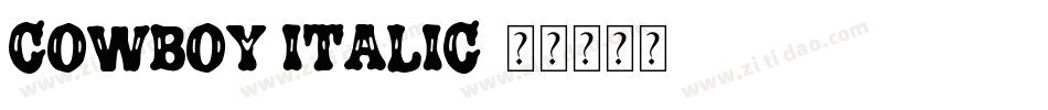 Cowboy Italic字体转换